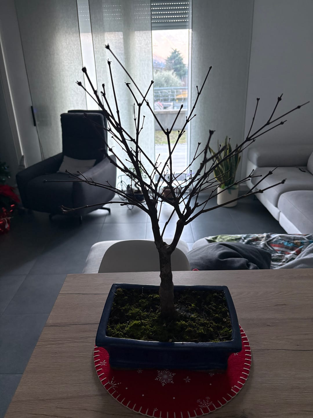 Customer photo review of PROTOCOLLO NUCLEARE CB®
