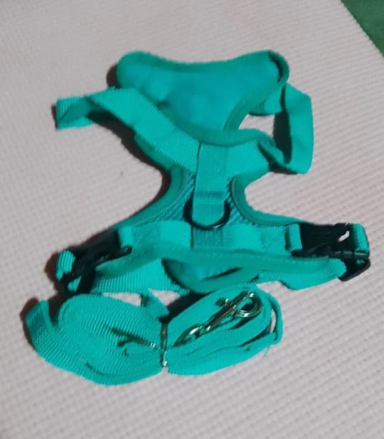Customer photo review of Harness and Leash Set for Small Dog and Cat