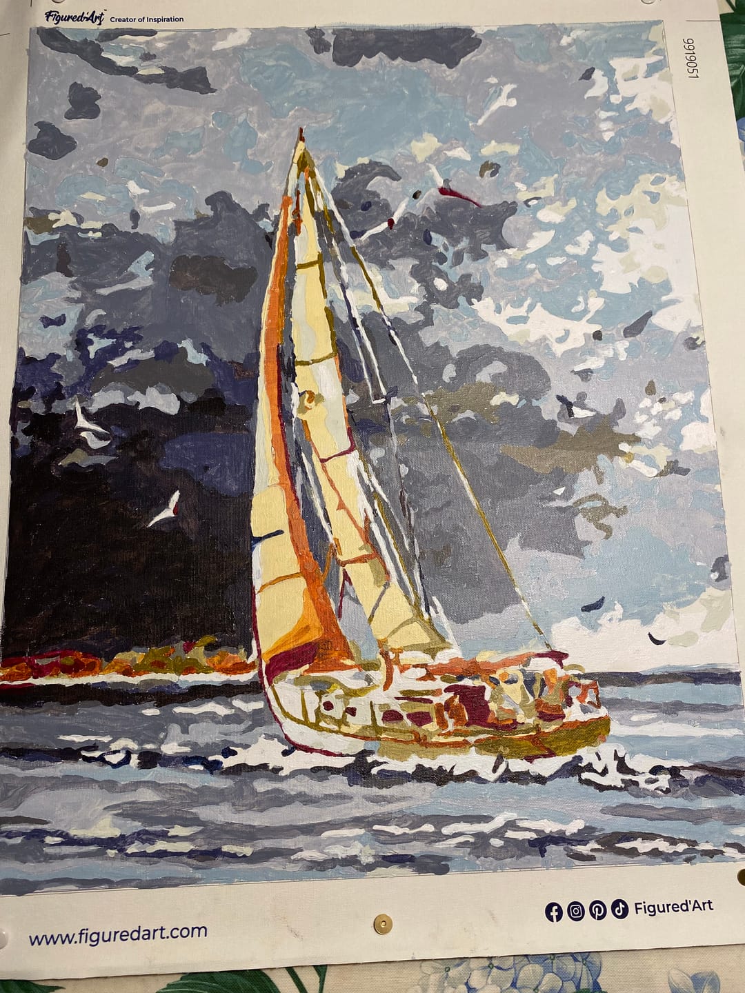 Customer photo review of Paint by Number Kit
