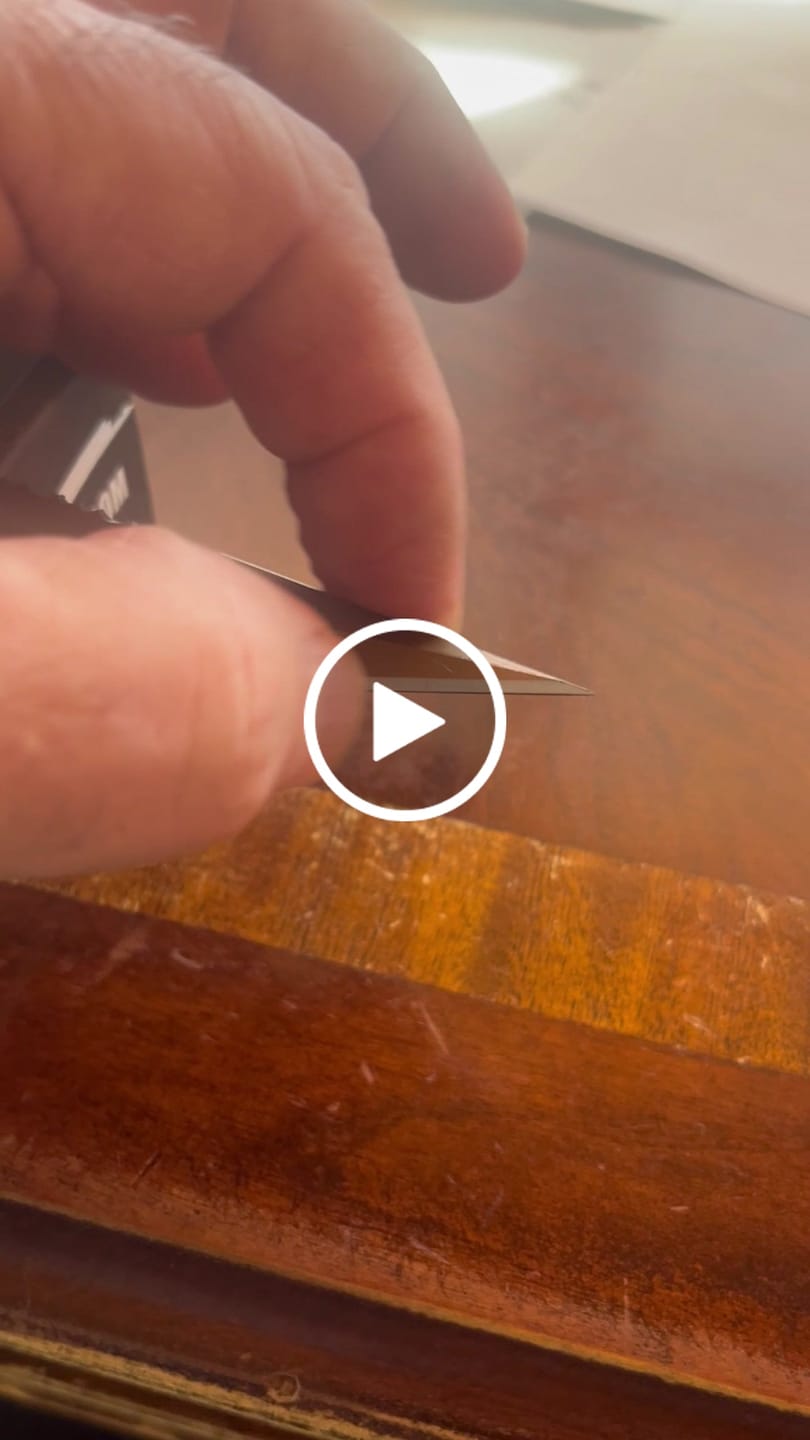 Customer video review of Professional Guardian - FDE