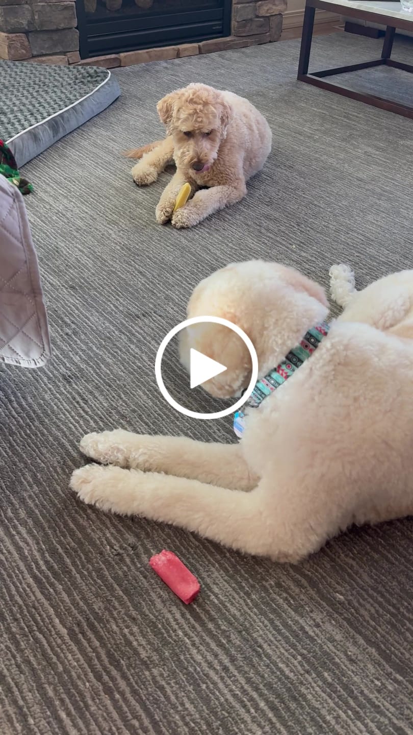 Customer video review of Strawberry Yak Chews