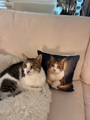 Customer photo review of Custom Pet Portrait - Modern Style