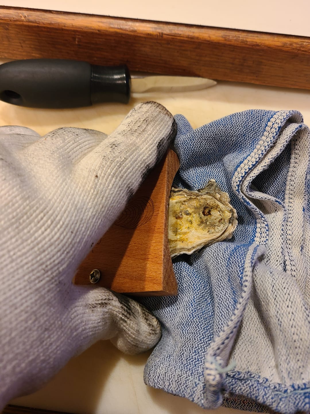 Customer photo review of The OysterClamp 2.0