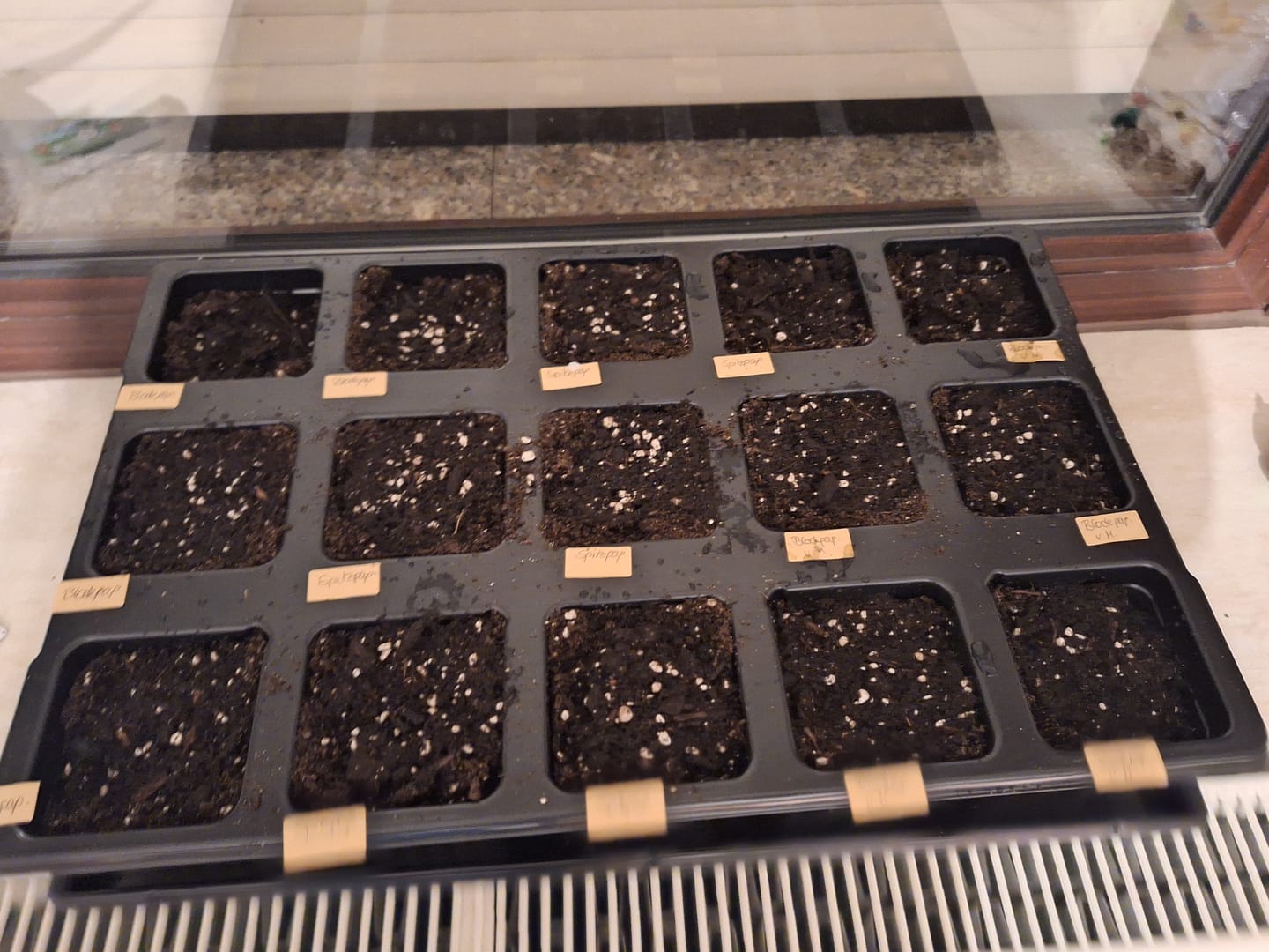 Customer photo review of QuickPot Anzuchtplatten