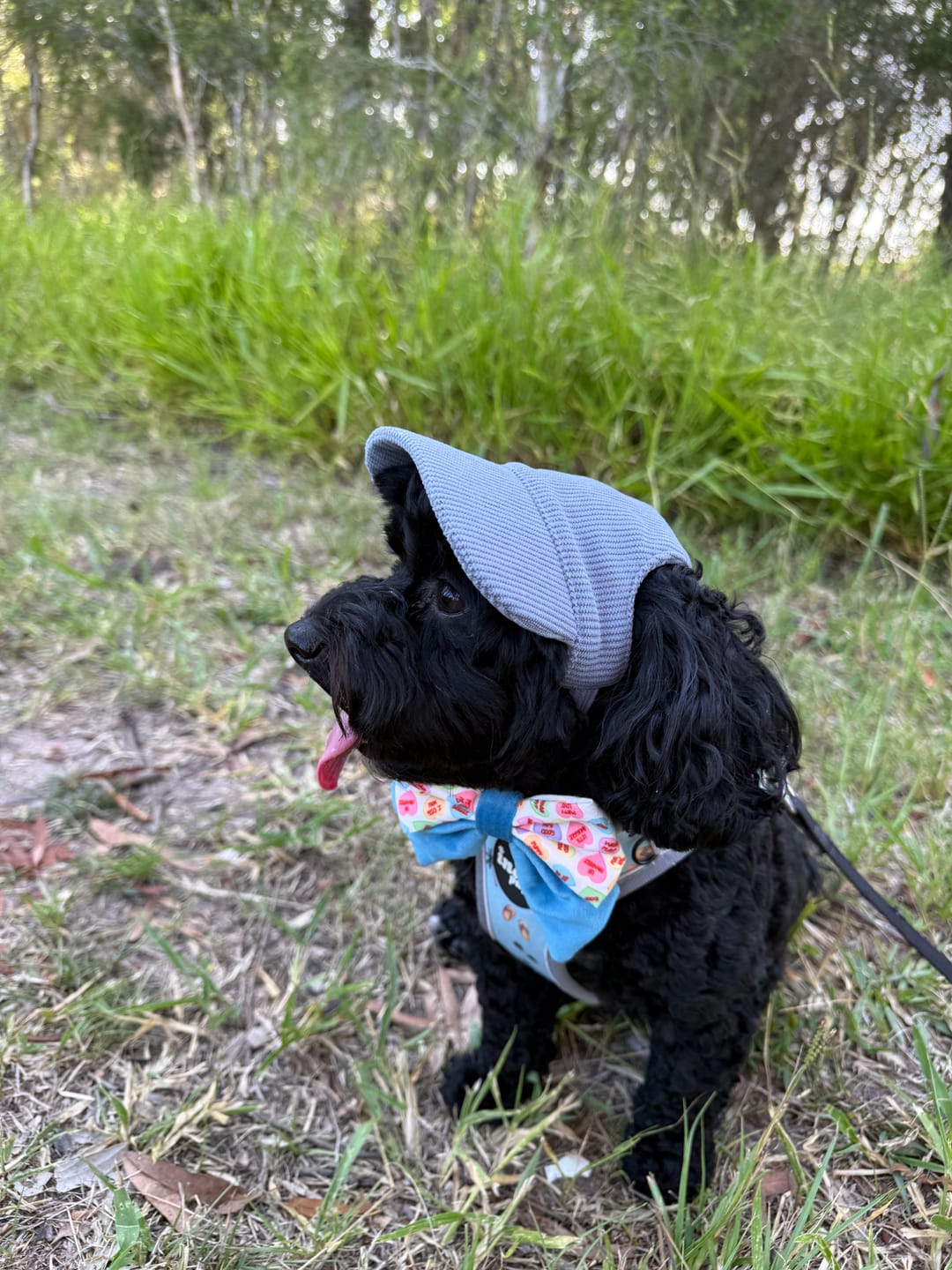 Customer photo review of DOG HATS