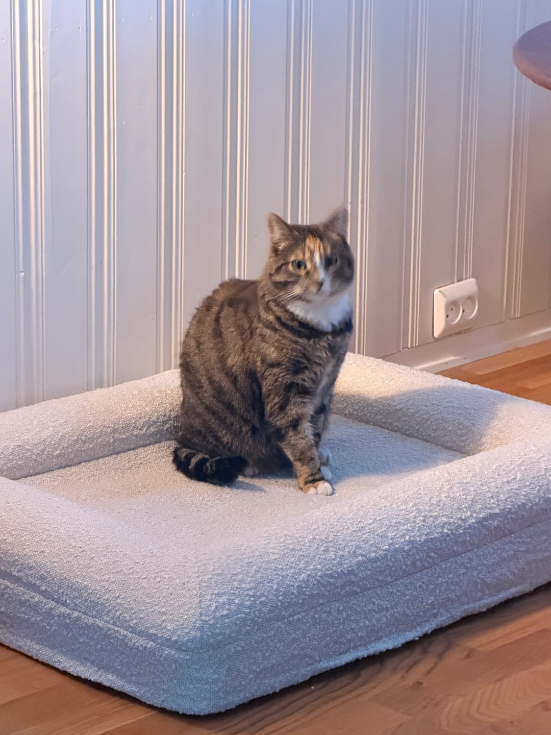 Customer photo review of Perro Durmiendo bouclé sofa bed - Cream