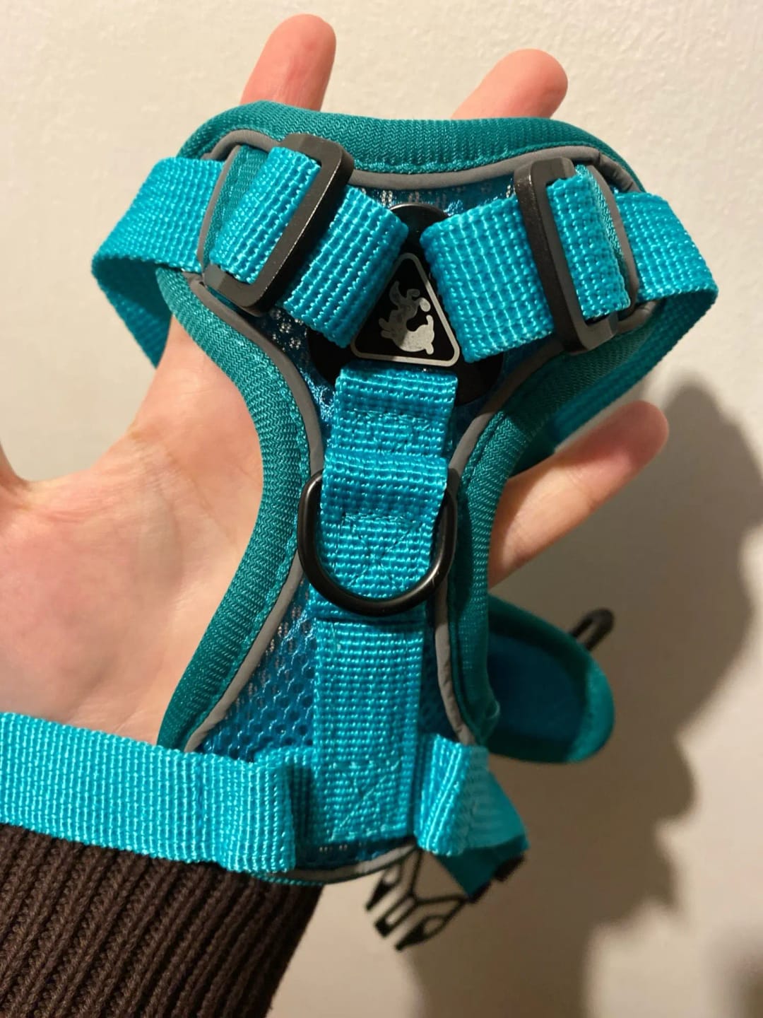 Customer photo review of Harness and Leash Set for Small Dog and Cat