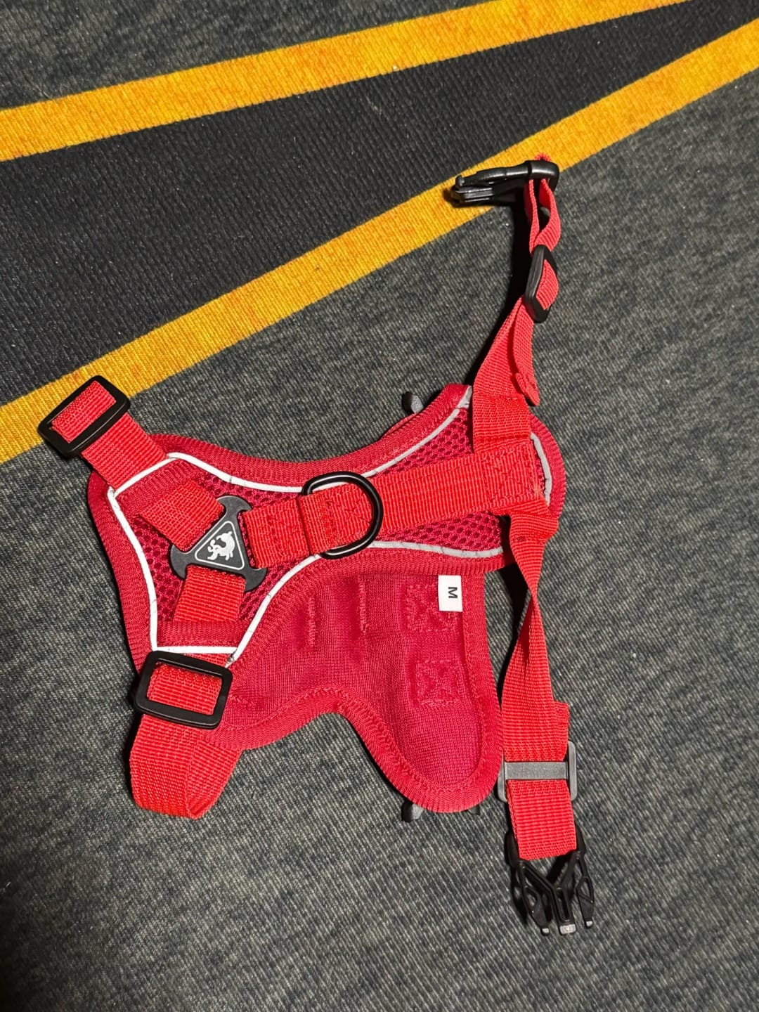 Customer photo review of Harness and Leash Set for Small Dog and Cat