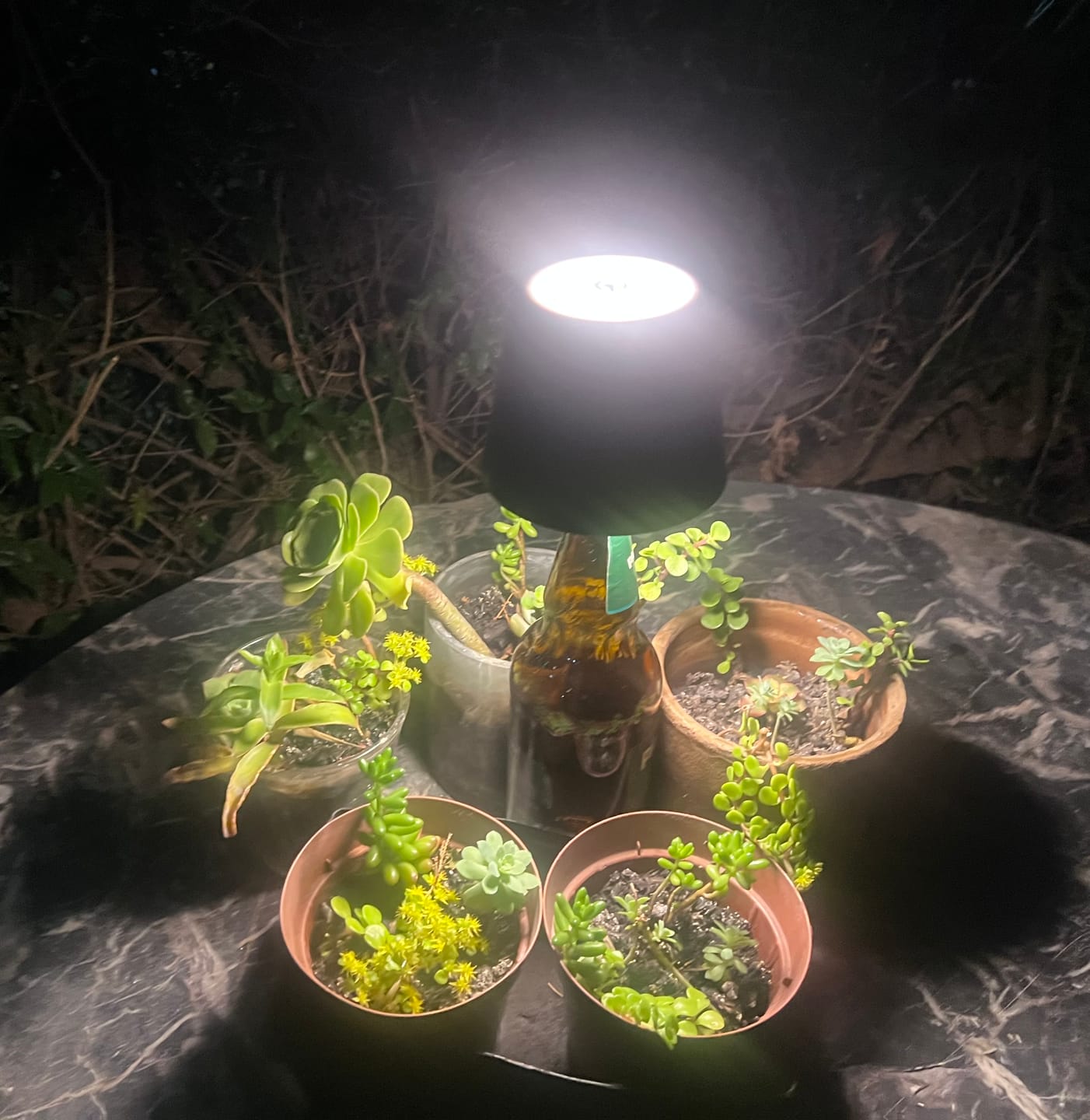 Customer photo review of Lampara Botella Inalámbrica Táctil de 3 Colores y Atenuación