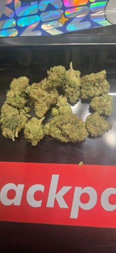 Customer photo review of Gas Face - Indoor - 28 Grams - Indica