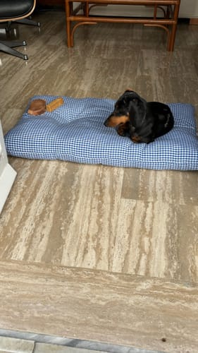 Customer photo review of Trapuntina Quadro Cotone Vichy Bluette