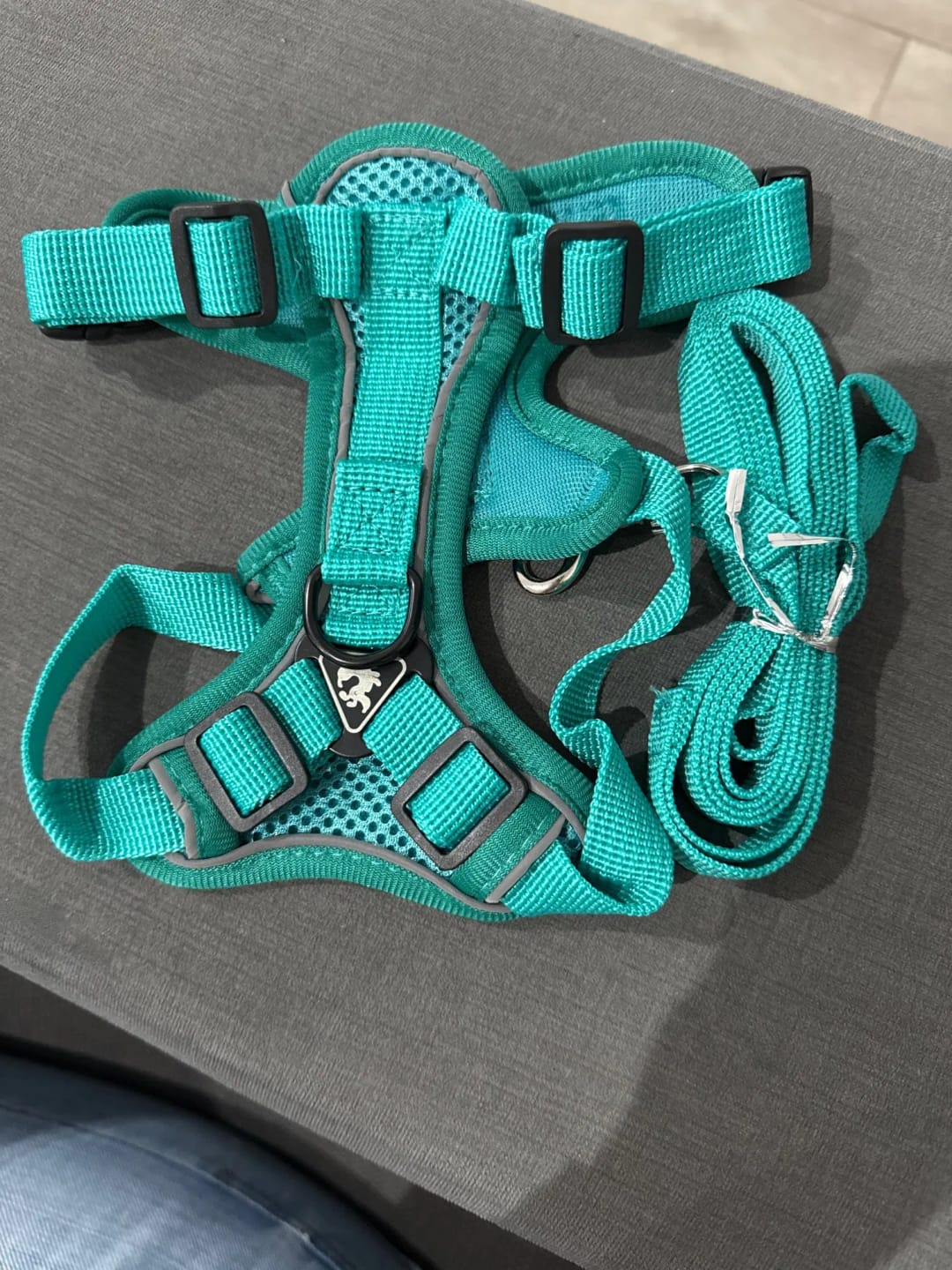Customer photo review of Harness and Leash Set for Small Dog and Cat