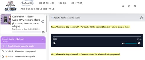 Recenzie cu fotografie de la un client despre Audiobook – Eseuri Audio BAC Română (temă și viziune, caracterizare, relație) + Quiz-uri
