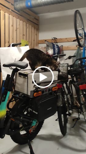 Customer video review of Lankeleisi RX800 Plus 2025 Version 1000W 20" Fat Bike 960Wh Full Suspension Electric Bike with Torque Sensor 48V 20Ah Battery SUV E-Bike [Pre-Order]