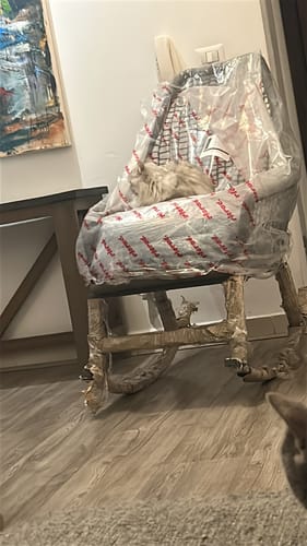 Customer photo review of Reckly- Metal Rocking Chair- RTS