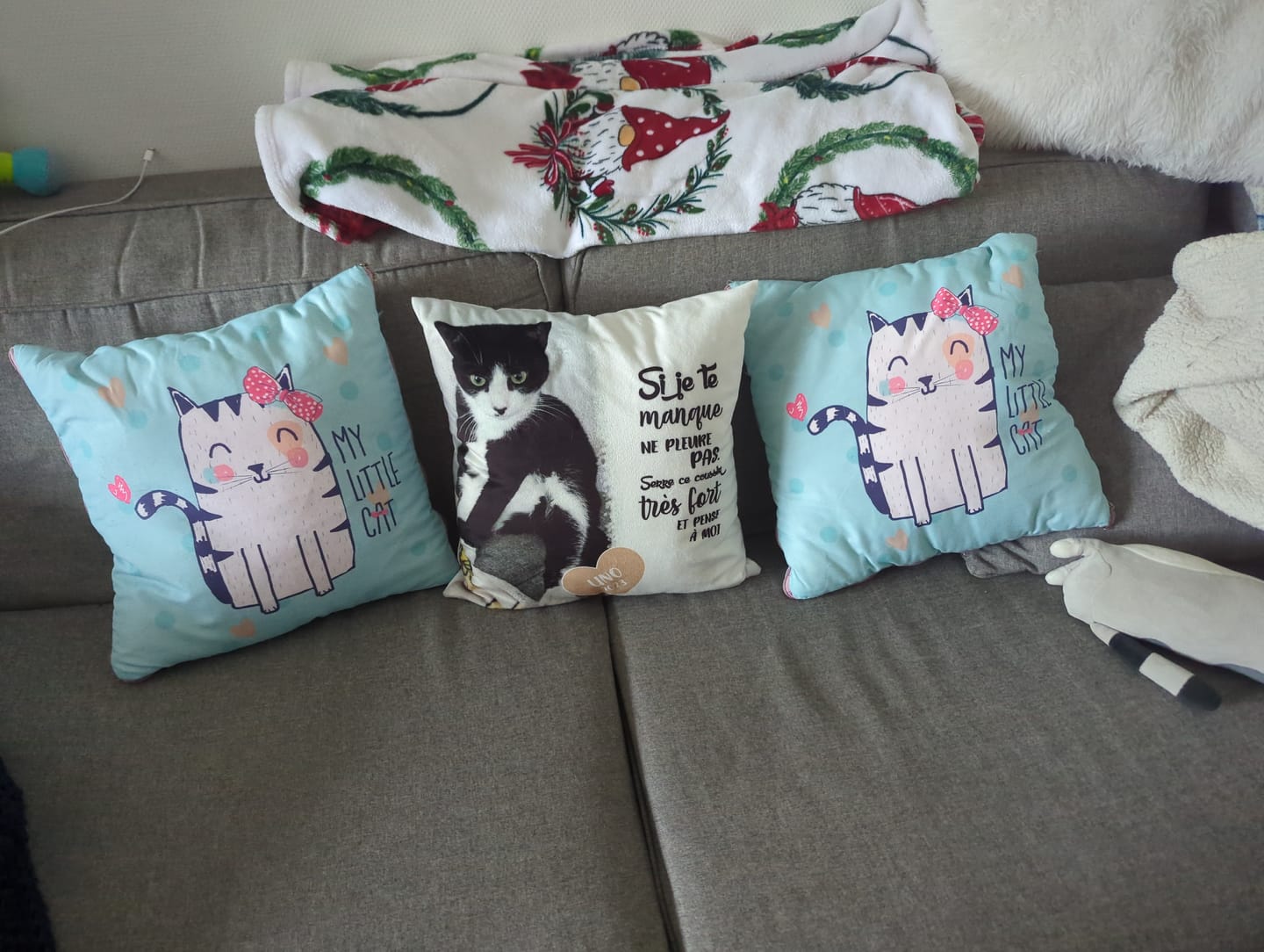 Customer photo review of Si je te manque - Coussin personnalisé