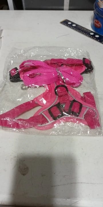 Customer photo review of Harness and Leash Set for Small Dog and Cat