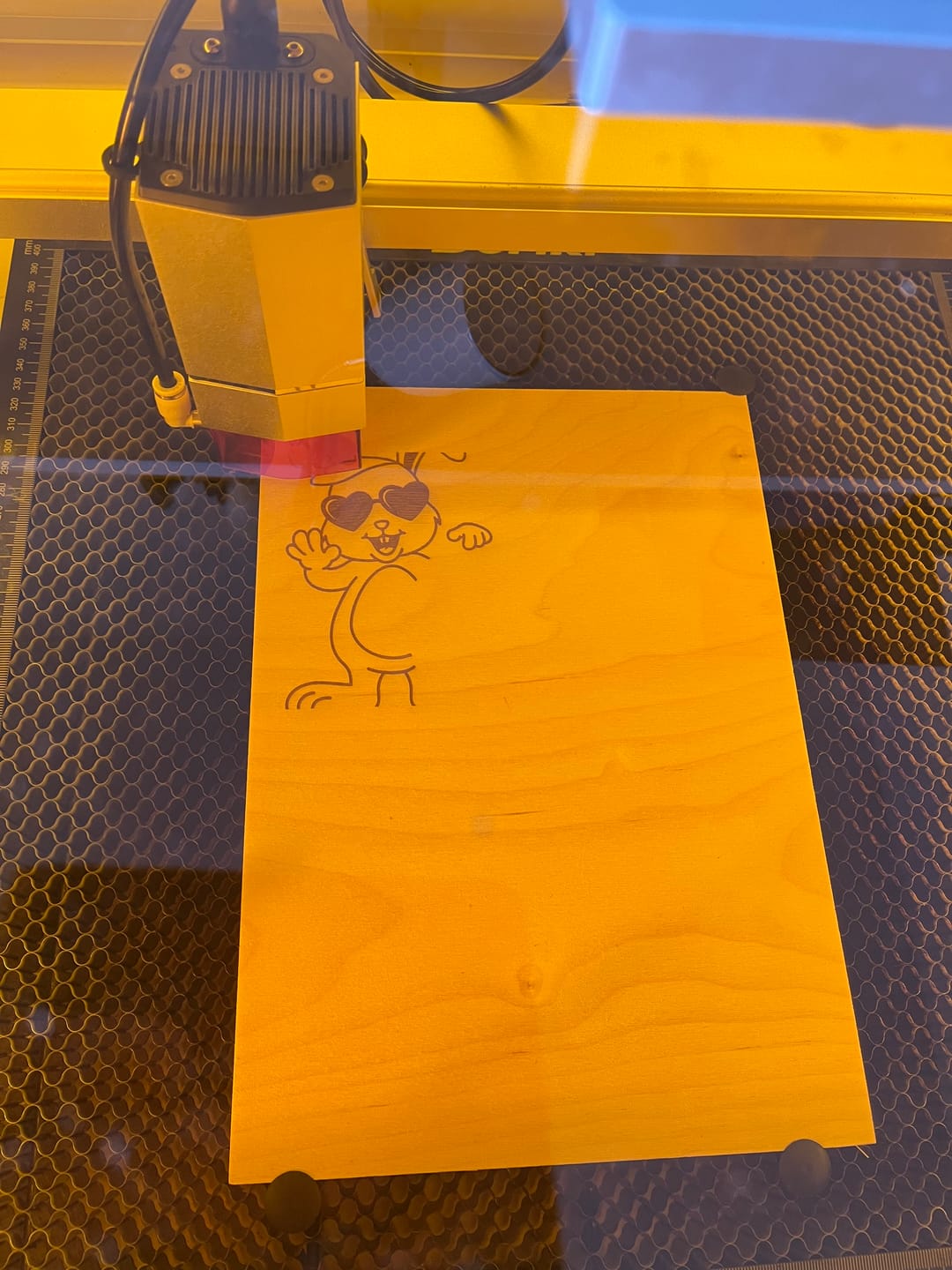 Customer photo review of TOOCAA L2 Desktop Laser Engraver & Cutter