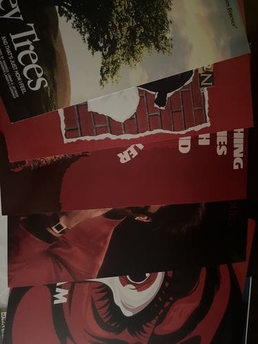 Customer photo review of Custom 'Upload Your Own' Poster