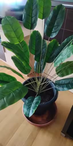 Customer photo review of Large Artificial Palm Tree – Real Touch Banana Plant