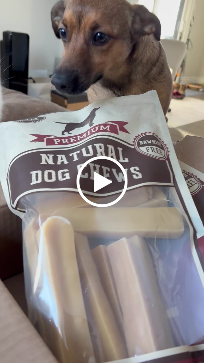 Customer video review of Himalayan Yak Chew (MEDIUM)