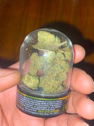 Customer photo review of Gold Spectrum THCA Flower (Exotic) - Zoap