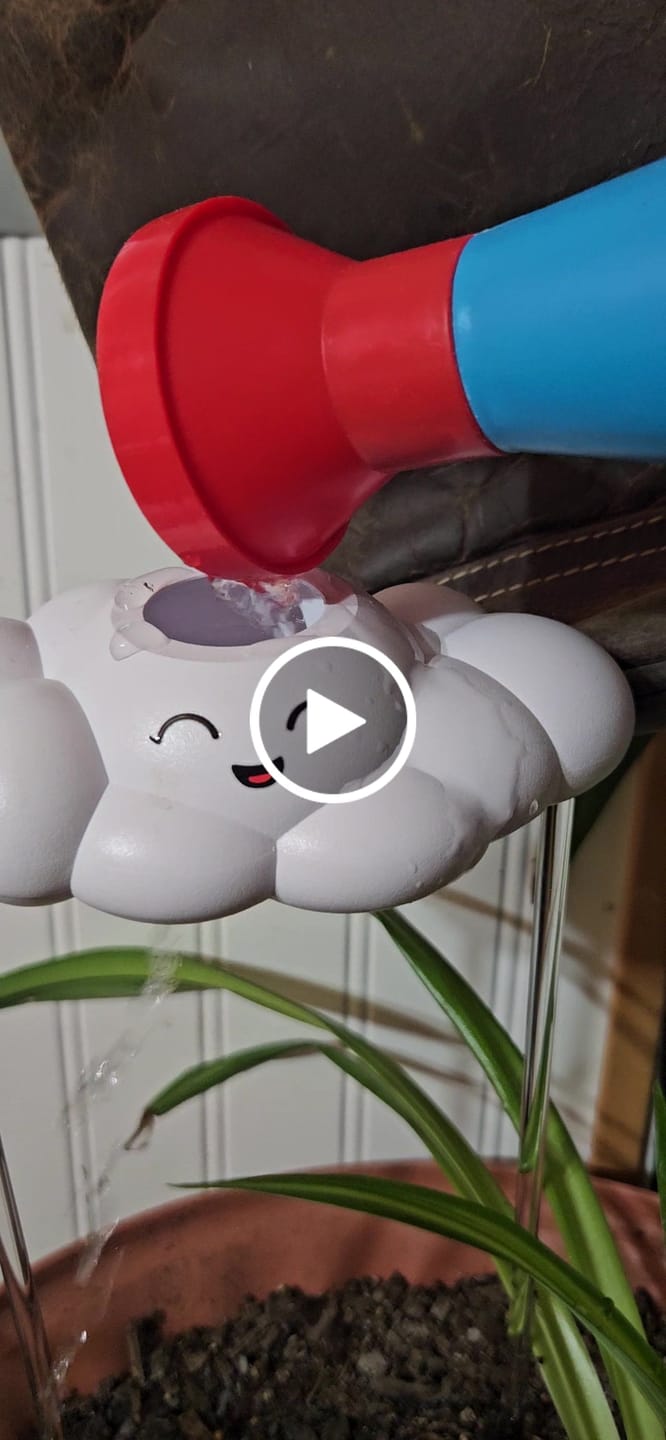 Customer video review of Chelsea the Cloud