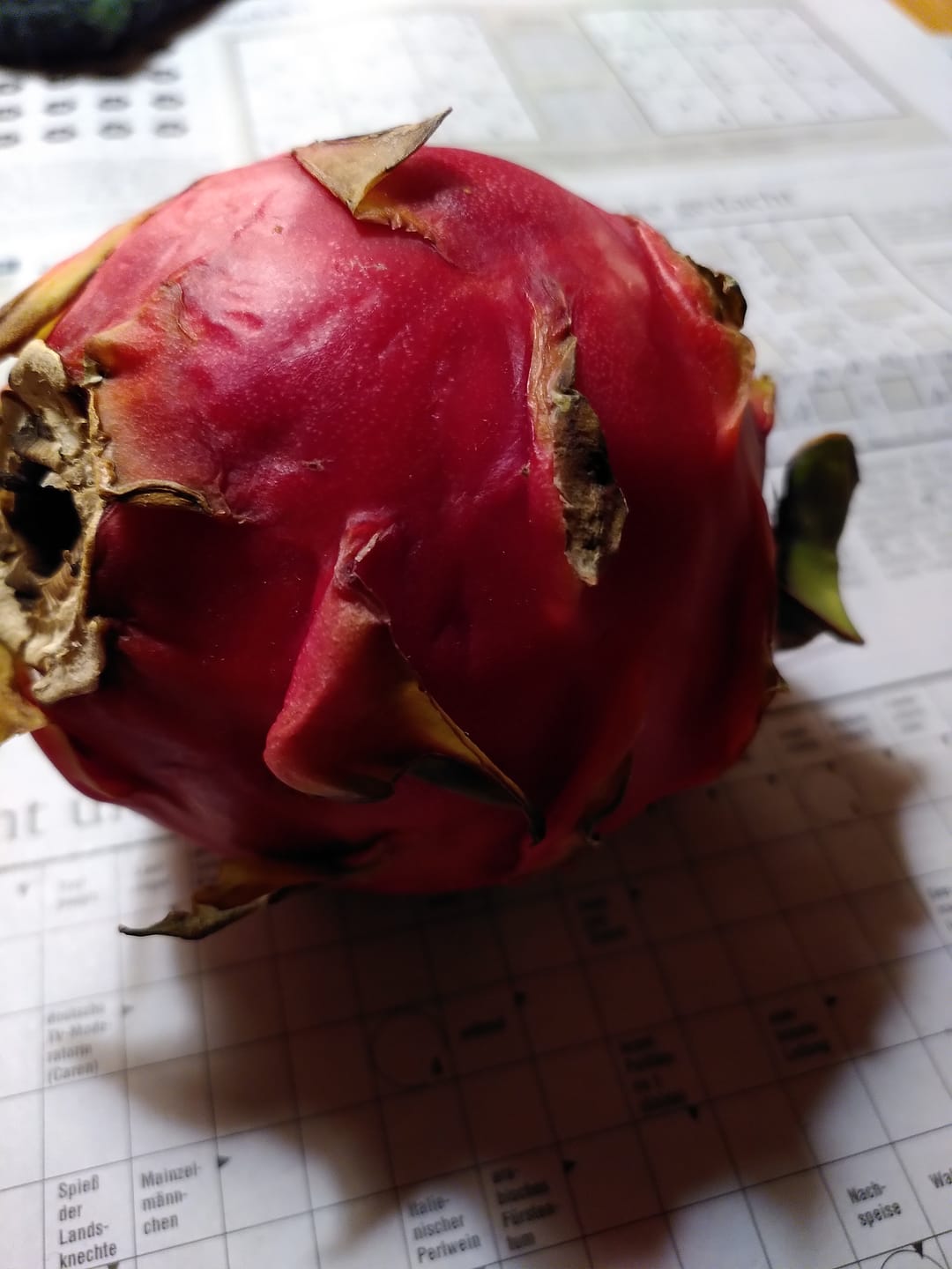 Customer photo review of Drachenfrucht rot Aktionswoche