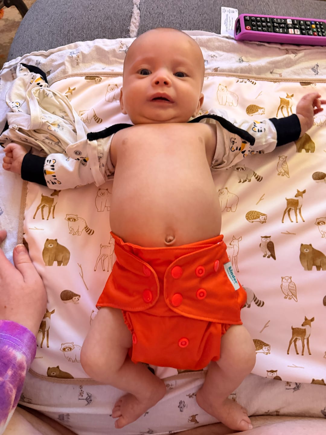 Customer photo review of Solid Color: Essentials Pocket Cloth Diaper with Athletic Wicking Jersey, Grows with your Baby