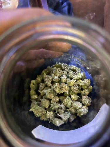 Customer photo review of Cherry Pie (smalls)