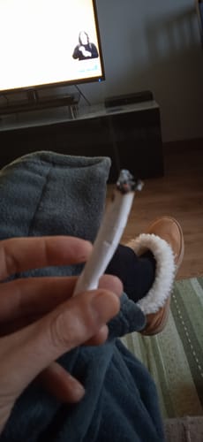 Customer holding a lit joint of Cartel Cola THCA Flower while relaxing indoors.
