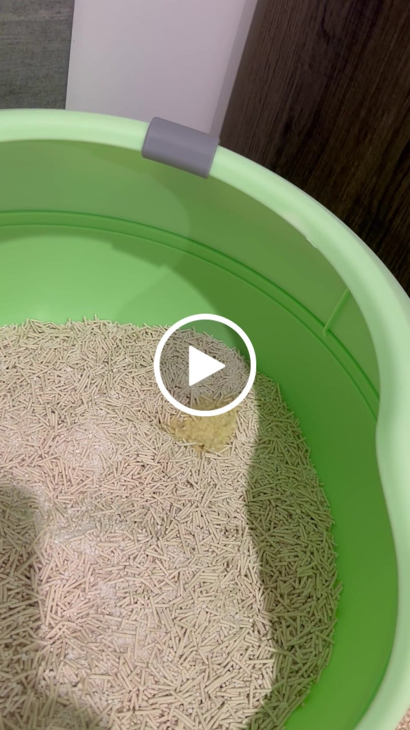 Customer video review of Michu NatureMix Plant Cat Litter –Tofu & Cassava Blend  Litter 2.5kg/6L