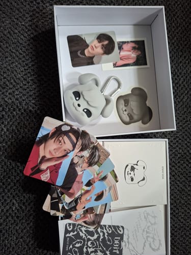 Customer's unboxed Stray Kids 'DO IT SKZ IT' album, showing the gray SKZOO speaker case and included photocards inside the box.