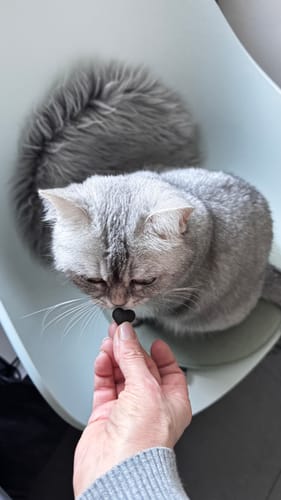 Customer photo review of Patsli® Move