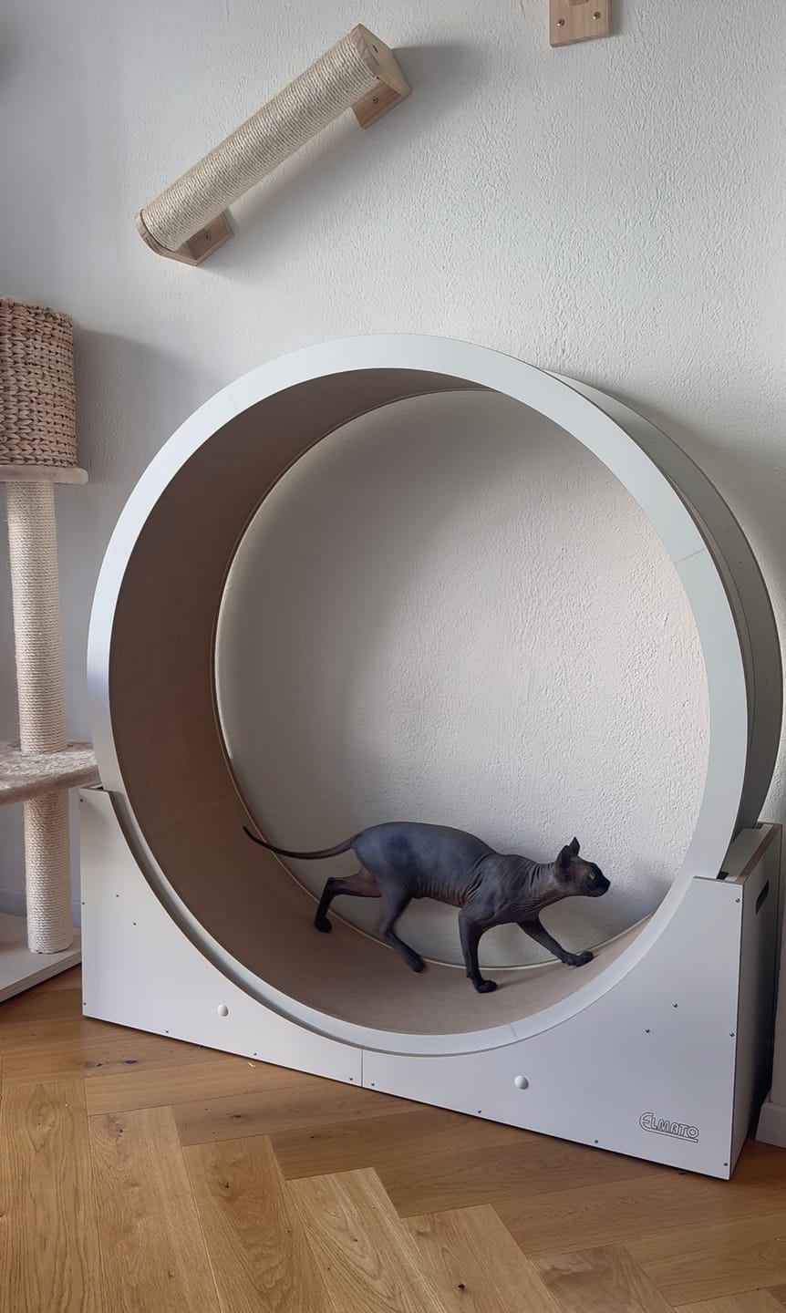 Customer photo review of Elmato Katzenlaufrad Simba