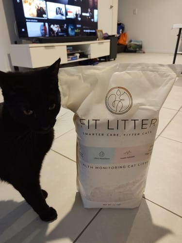 Customer photo review of 3 Month Supply - 2 Cats