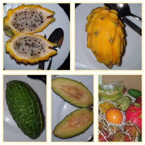 Kunden-Collage der Probierbox mit einer aufgeschnittenen gelben Pitaya und anderen exotischen Früchten.