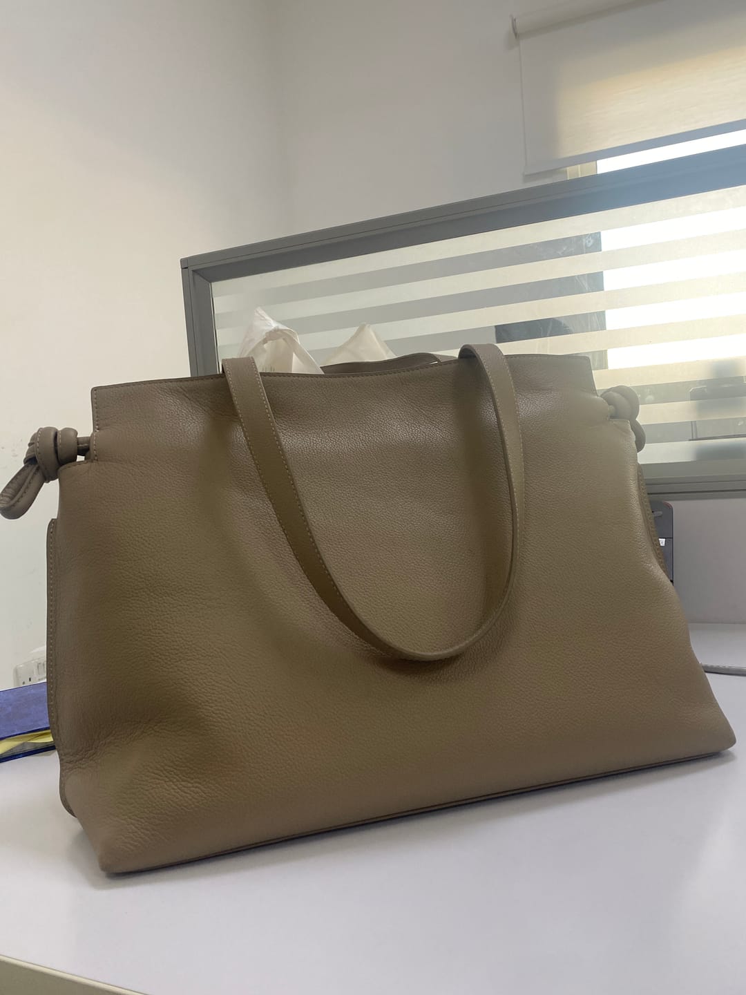 Customer photo review of Emma Large Work Tote