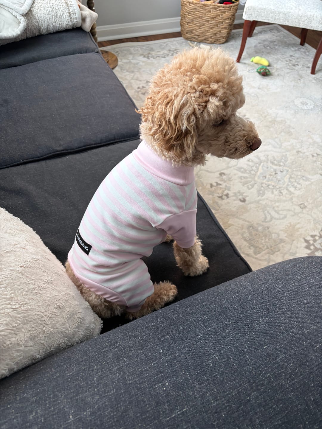 Customer photo review of Dog Pajama - Pink Stripes