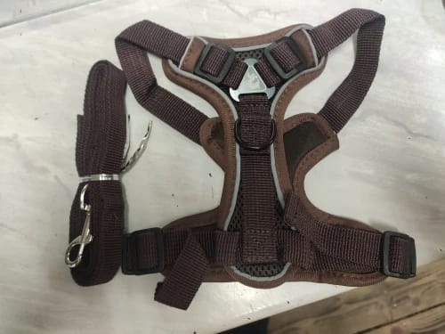 Customer photo review of Harness and Leash Set for Small Dog and Cat