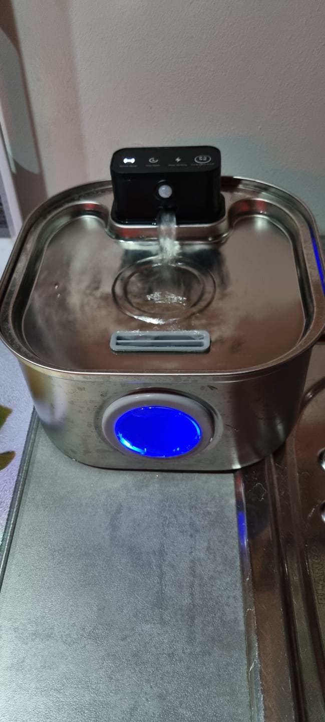 Customer photo review of Filter 12 Monatsvorrat für PfotenBrunnen™