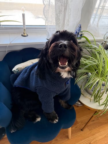 Customer photo review of Monkey Fleece Jacket