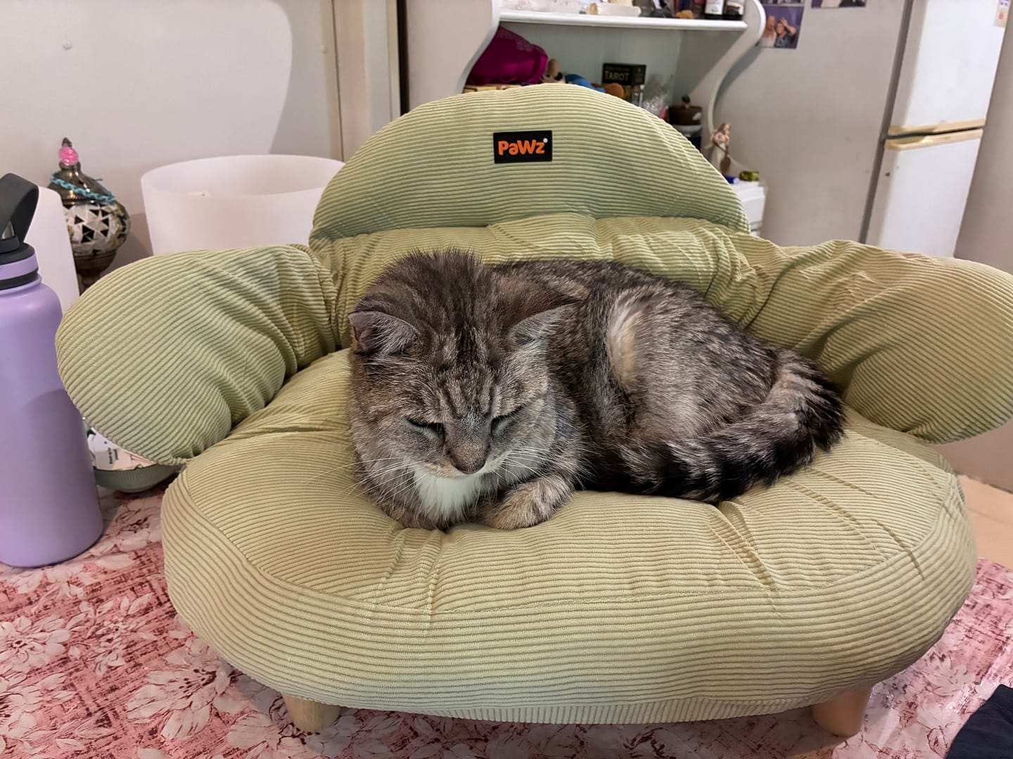 Customer photo review of CloudNest Elevated Pet Sofa Bed