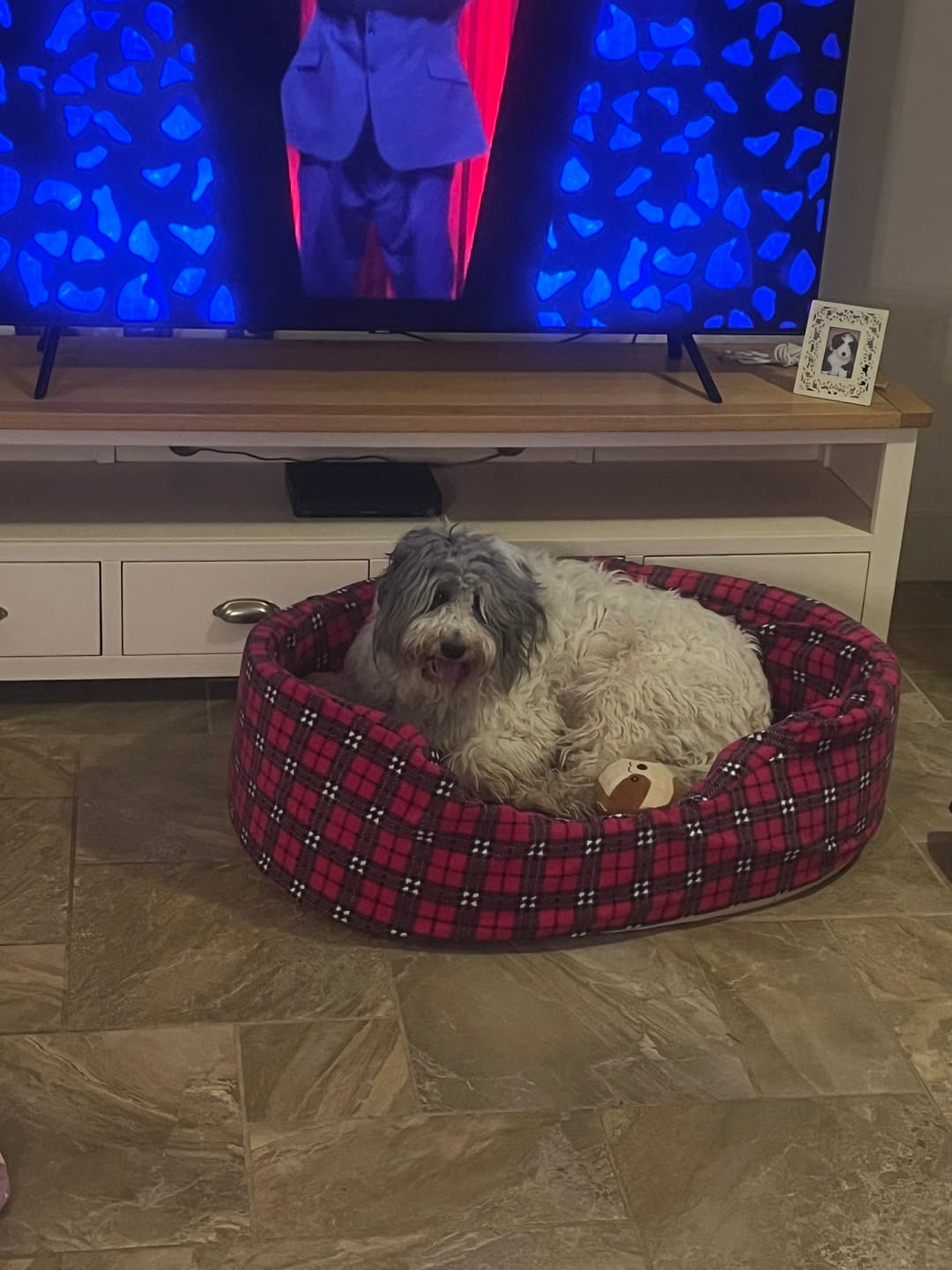 Customer photo review of Pink Checkered Anti Pill Polar Fleece Fabric