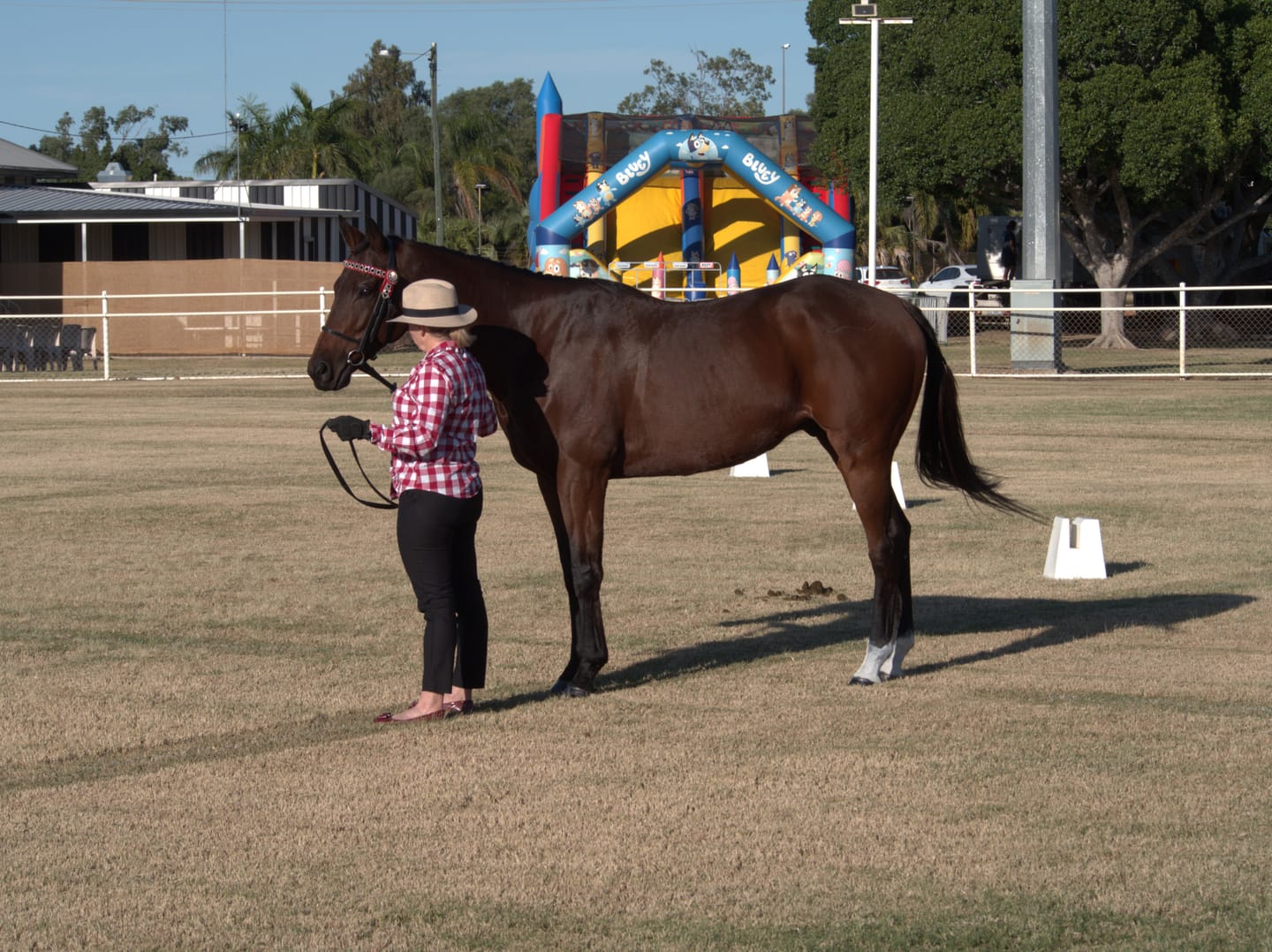 Customer photo review of Digestive EQ