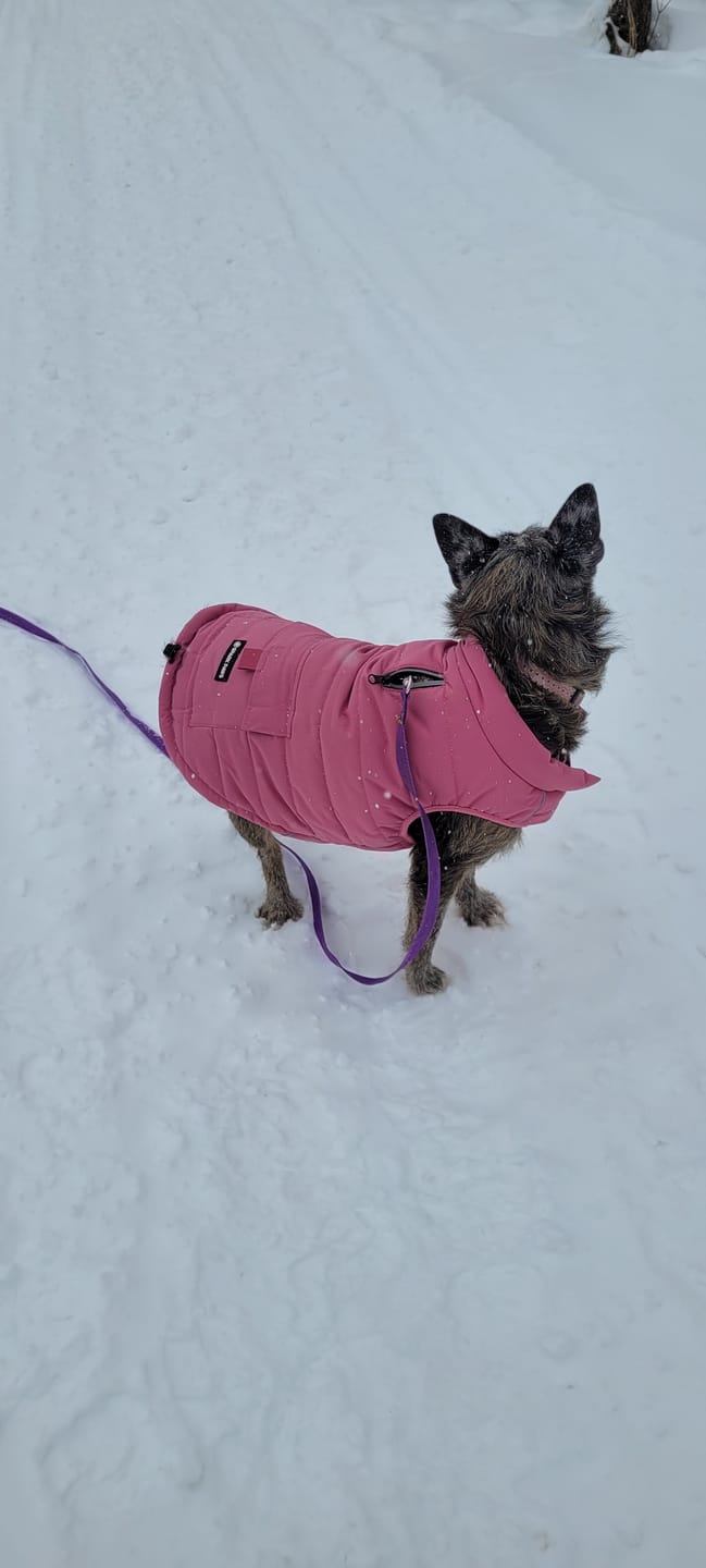 Customer photo review of WarmShield Water-Resistant Jacket - Dusty Pink