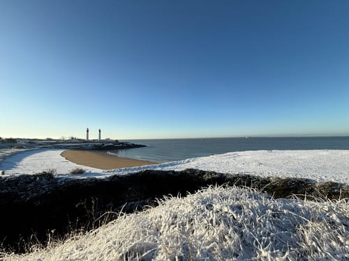 Customer photo review of Alpha Labz - Alpha Prime