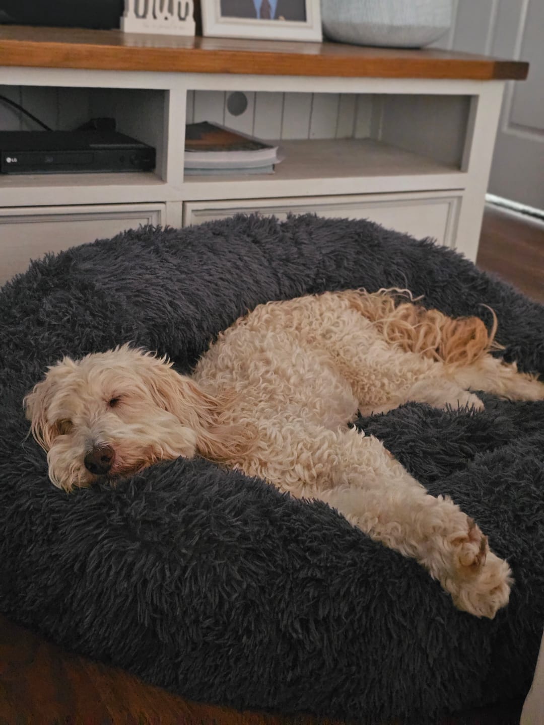 Customer photo review of Brooklyn® Deep Sleep Pet Bed