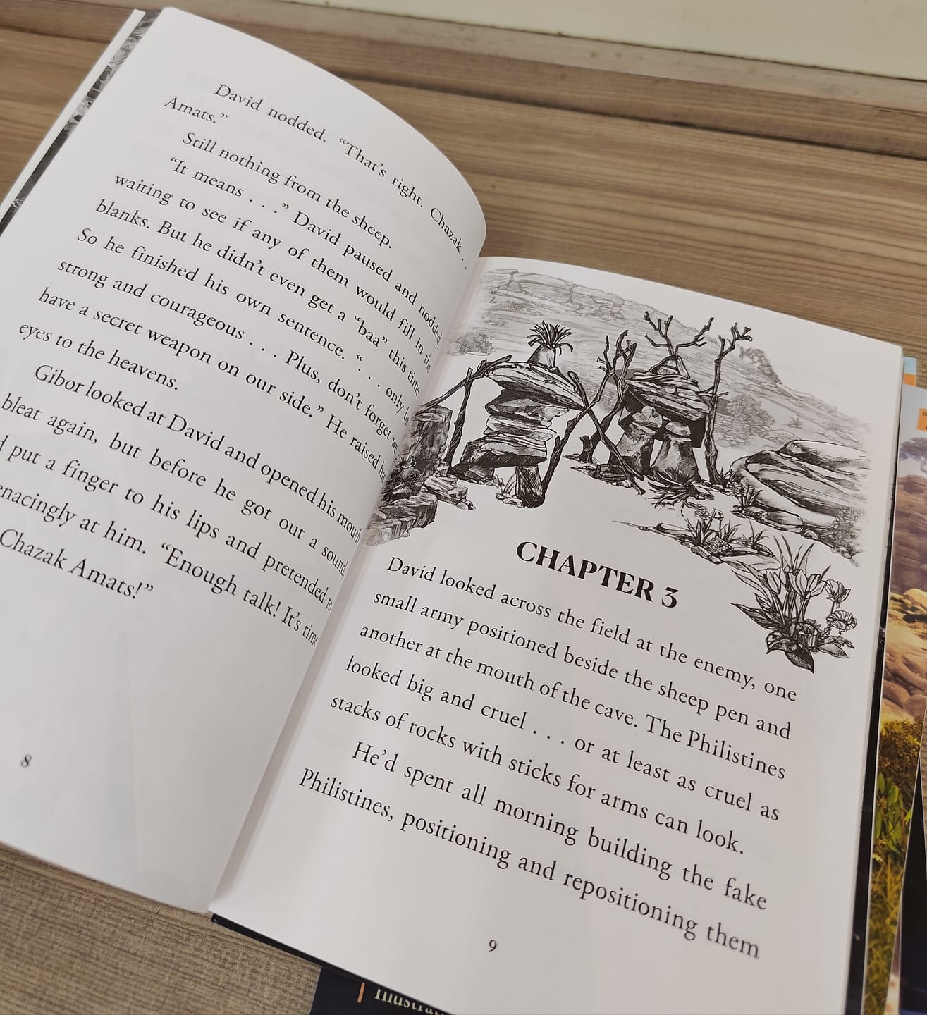 Customer photo review of YOUNG DAVID Chapter Book Bundle