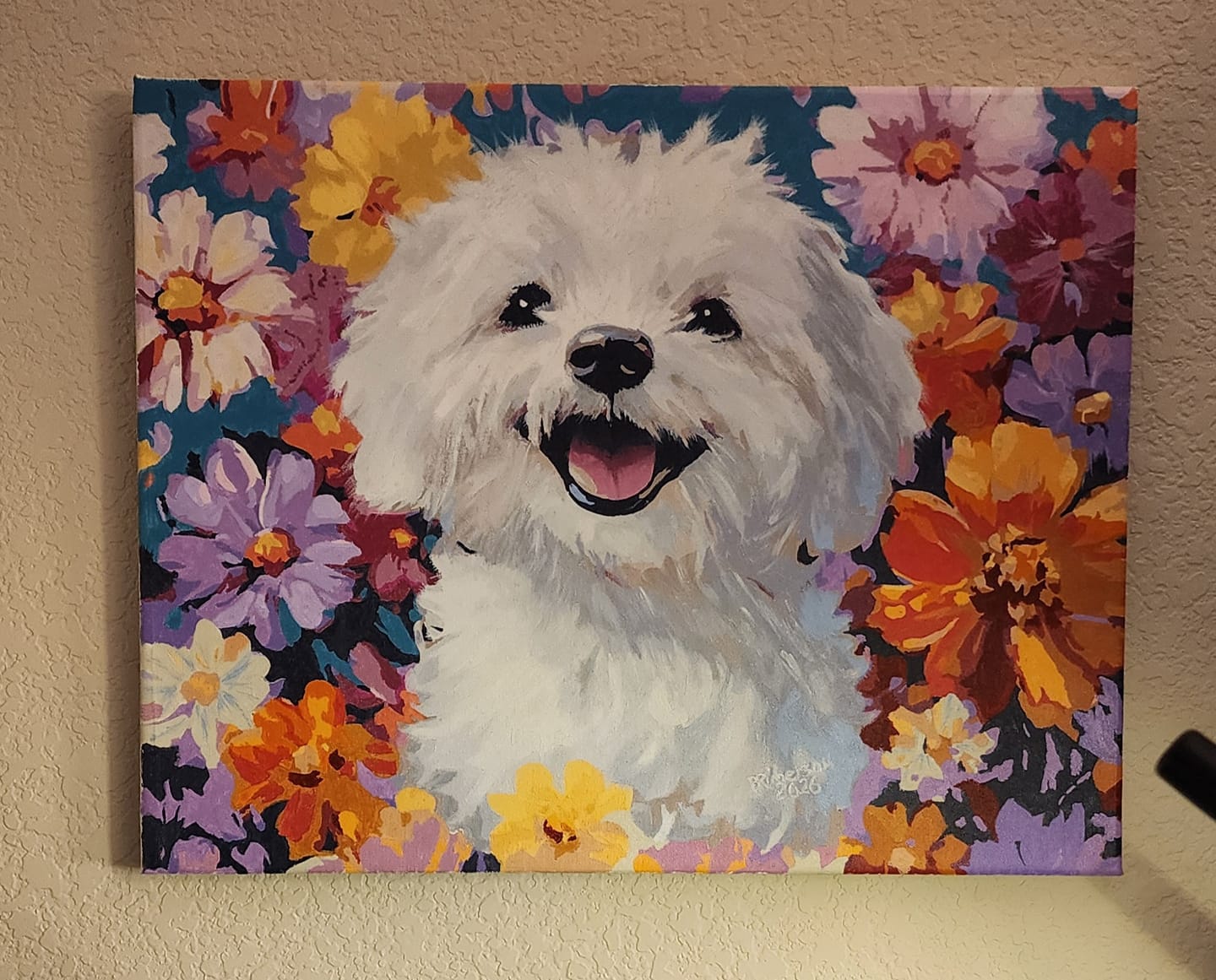 Customer photo review of Bichon Frise